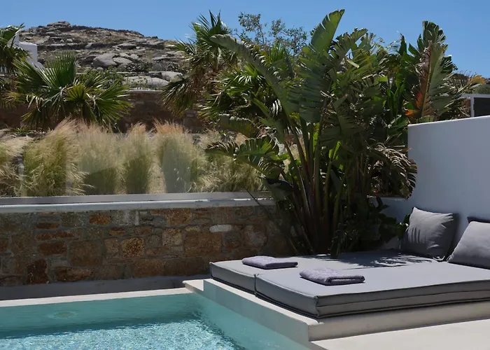 Le Palme Mykonos 克洛瓦斯