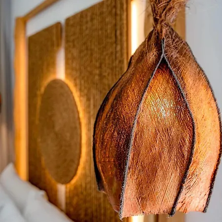 Le Palme Mykonos 4* 克洛瓦斯