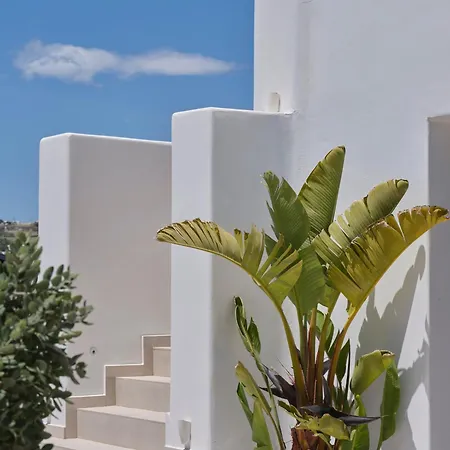 酒店 Le Palme Mykonos 克洛瓦斯